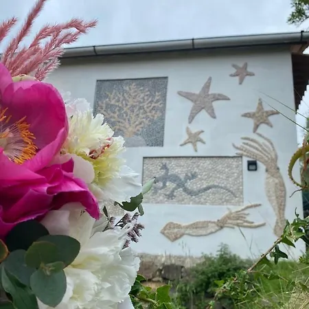 La Casetta Dei Mosaici * Capraia