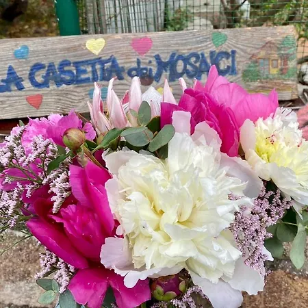 La Casetta Dei Mosaici Сasa de vacaciones *