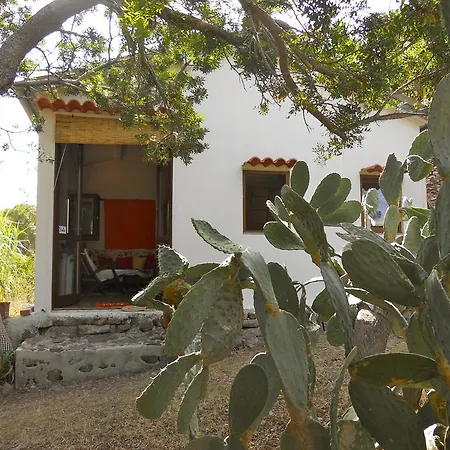La Casetta Dei Mosaici * Capraia